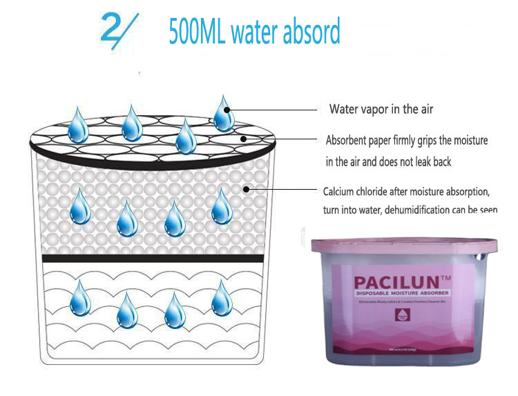 Moisture absorber box for closet and wardrobe